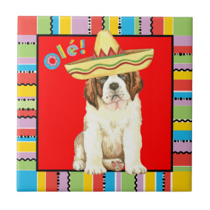Fiesta St Bernard Ceramic Tile