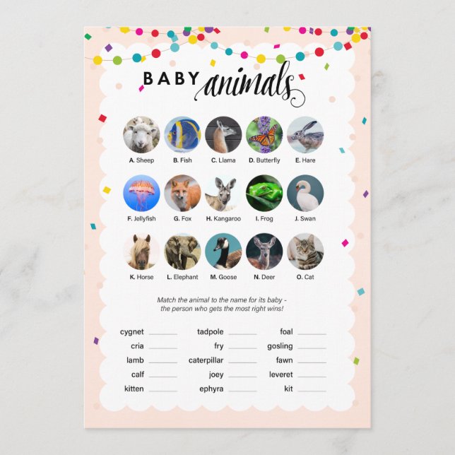 Fiesta theme baby shower game baby animals program (Front)