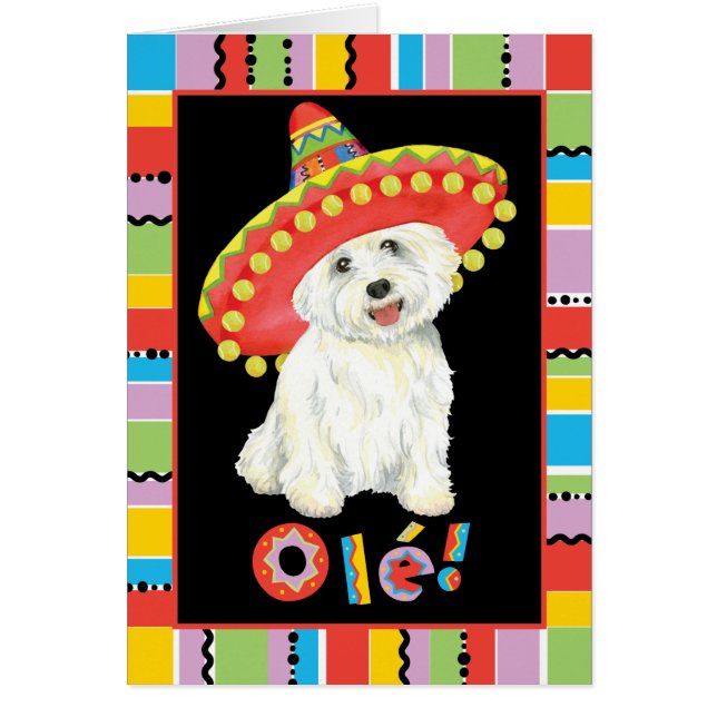 Fiesta Westie Greeting Card (Front)