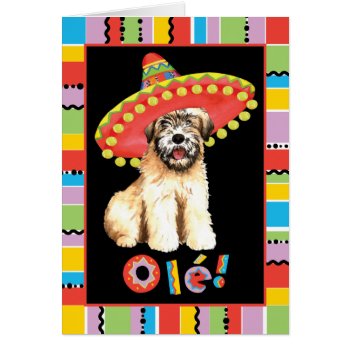 Fiesta Wheaten Greeting Card by DogsInk at Zazzle