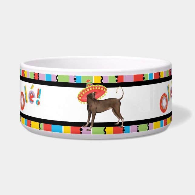 Fiesta Xolo Pet Bowl (Left)