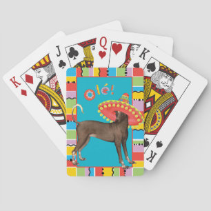 Fiesta Xolo Poker Cards