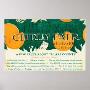 Fifth Annual Tulare County Citrus Fair Promotion Poster