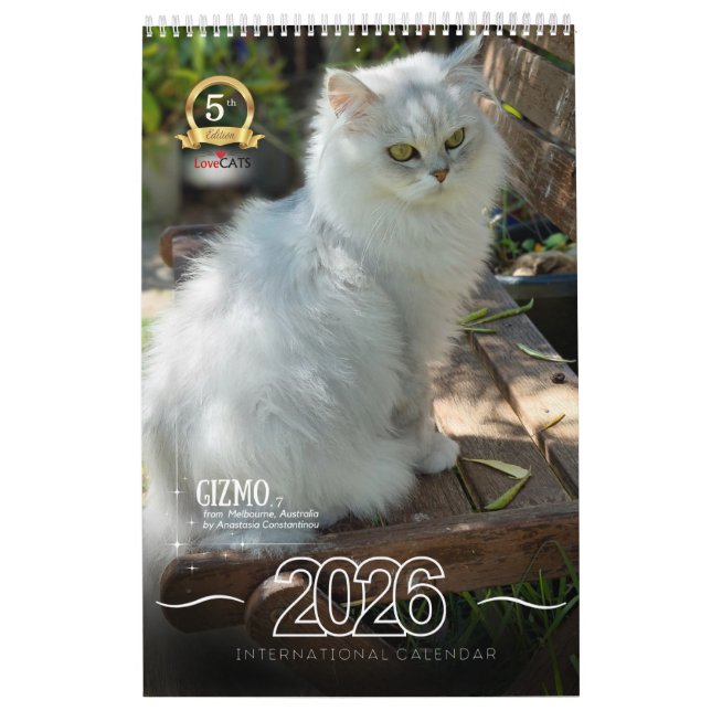 Fifth Edition 2026 Calendar (Cover)