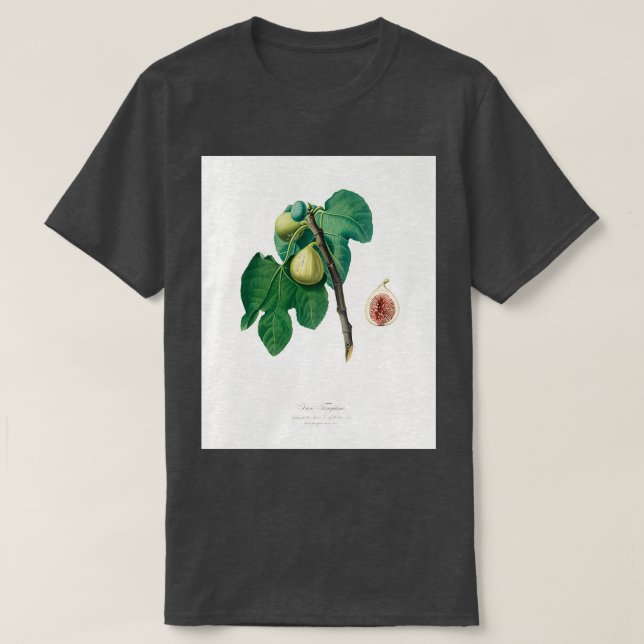 Fig Fico Troiano from Pomona Italiana 1817 1839 T-Shirt (Design Front)