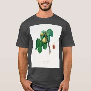 Fig Fico Troiano from Pomona Italiana 1817 1839 T-Shirt