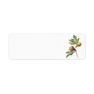 fig(Ficus violacea) by Redouté Label