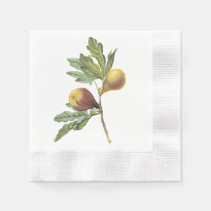 fig(Ficus violacea) by Redouté Napkins