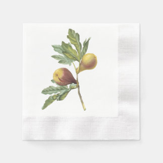 fig(Ficus violacea) by Redouté Napkins