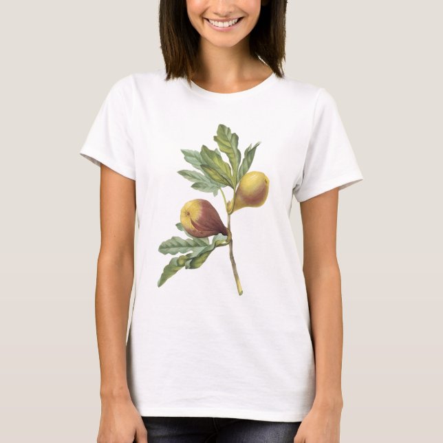 fig(Ficus violacea) by Redouté T-Shirt (Front)