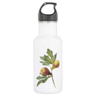 fig(Ficus violacea) by Redouté Water Bottle