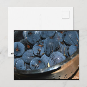 Fig Fruit in Colander Postcard