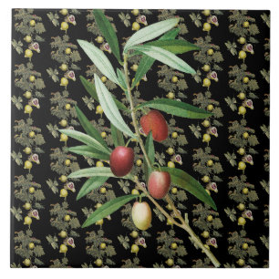 Fig Leaf and Olive Branch Botanic Black Rustic Ceramic Tile