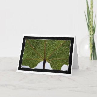 "Fig Leaf" Card
