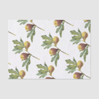 Fig Pattern Tissue Paper