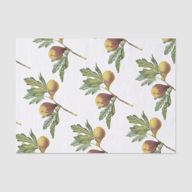 Fig Pattern Tissue Paper (Front)