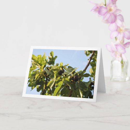 Fig Tree Blue Sky Portrait Card