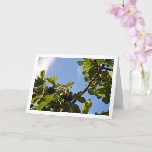 Fig Tree Blue Sky Portrait Card