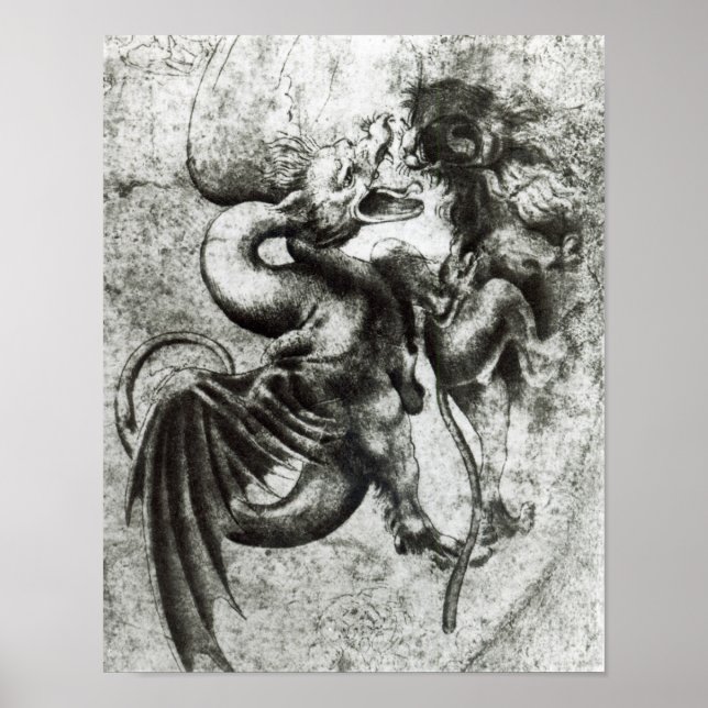 Fight between a Dragon and a Lion Poster (Front)
