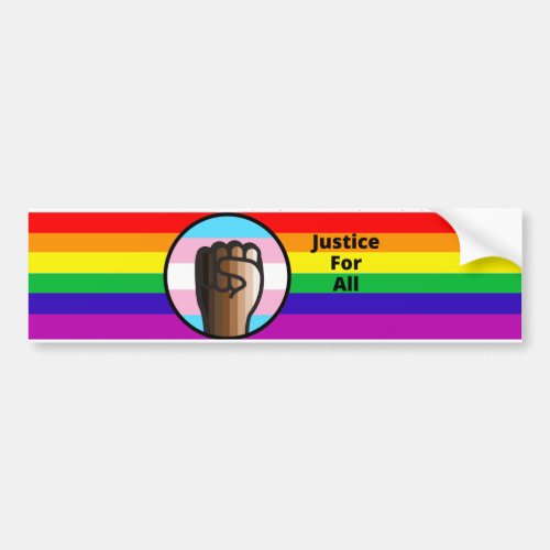 Fight Injustice Embrace Equality Bumper Sticker