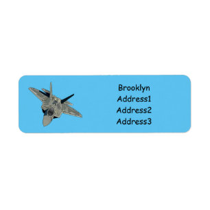 Fighter aircraft cartoon illustration label