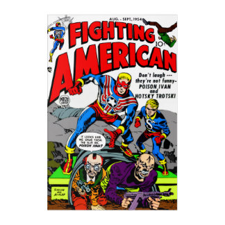 Fighting American Acrylic Wall Art 
