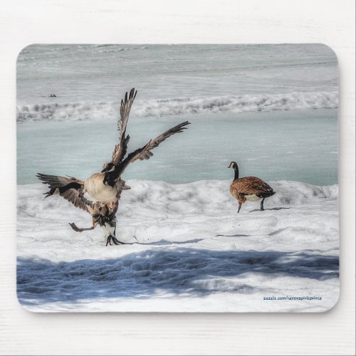 Fighting Canada Geese  Snow Wildlife Photo Mouse Pad