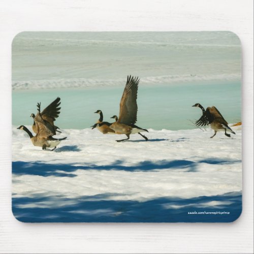 Fighting Canada Geese  Snow Wildlife Photo Mouse Pad