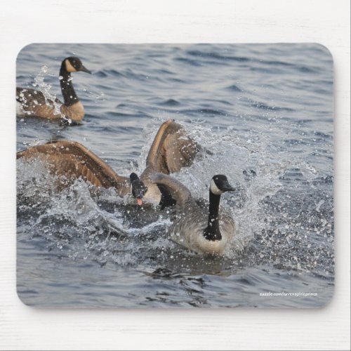 Fighting Canada Geese  Water Wildlife Mouse Pad