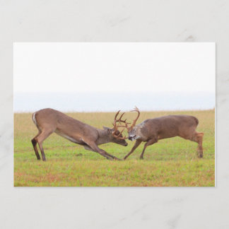 Fighting Deer Invitation