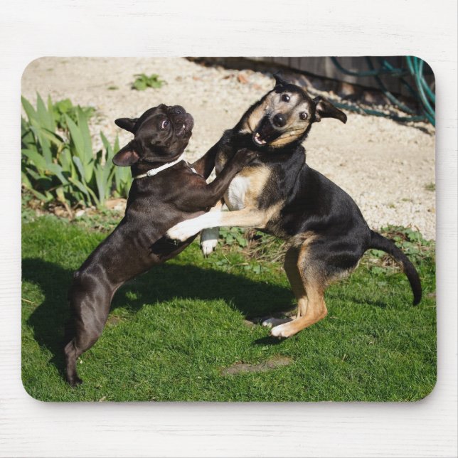 Fighting Dogs Mouse Pad (Front)
