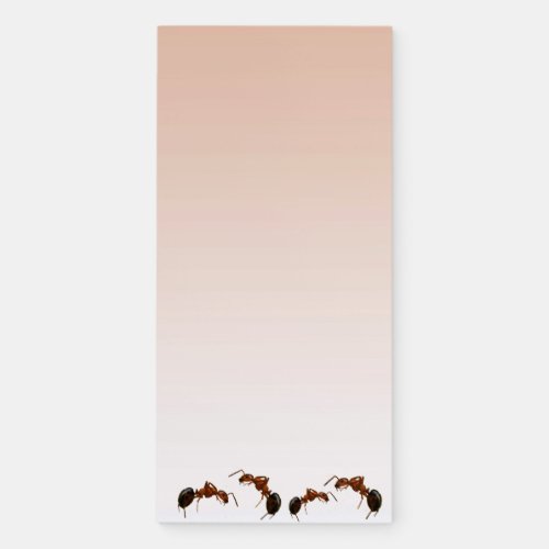 Fighting Fire Ants Magnetic Fridge Notepad