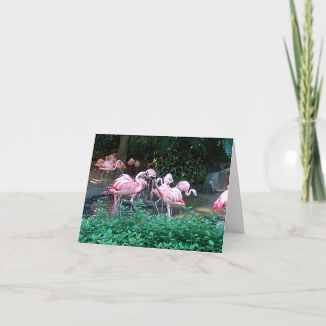 Fighting Flamingos Note Card (Front)