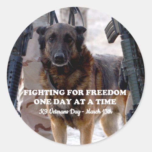 Fighting For Freedom Classic Round Sticker