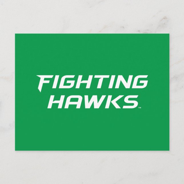 Fighting Hawks Postcard (Front)