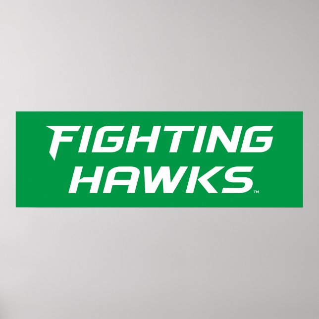 Fighting Hawks Poster (Front)