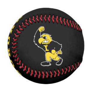 Fighting Herky Baseball