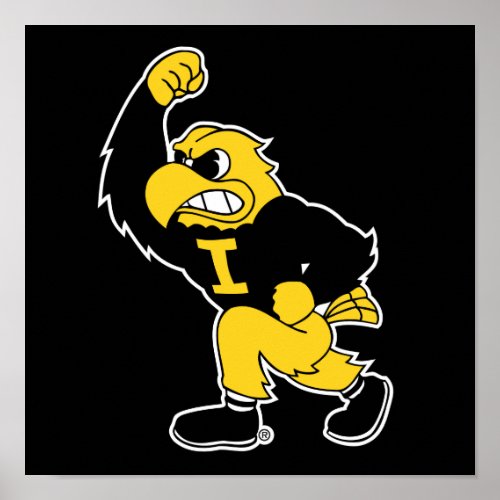 Fighting Herky Poster