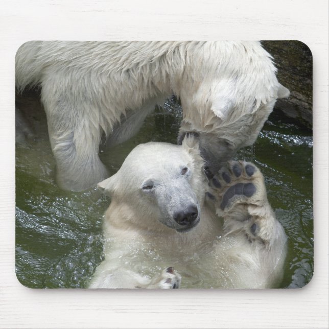 Fighting Polar Bears Mouse Pad (Front)