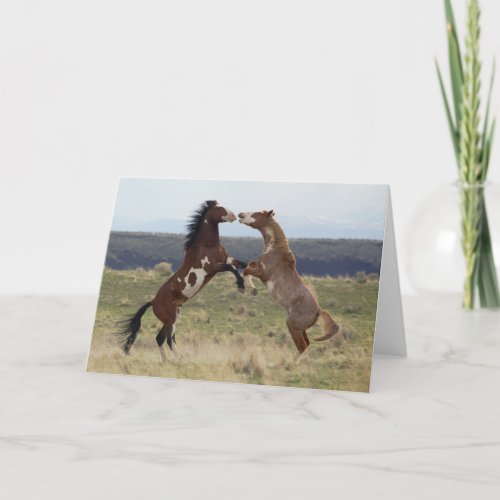 Fighting Stallions Steens Mountains Oregon Card