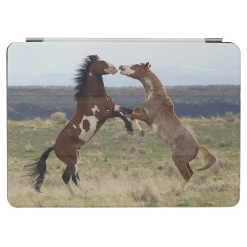 Fighting Stallions Steens Mountains Oregon iPad Air Cover