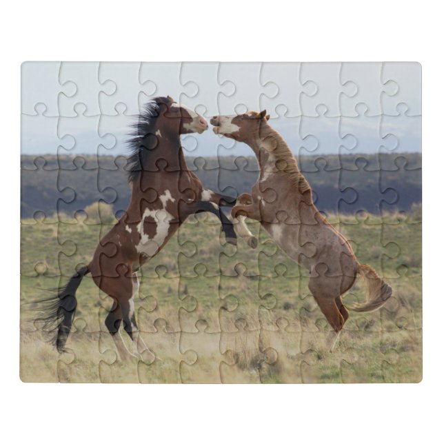 Fighting Stallions, Steens Mountains, Oregon Jigsaw Puzzle (Puzzle Horizontal)