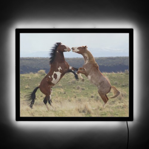 Fighting Stallions Steens Mountains Oregon LED Sign