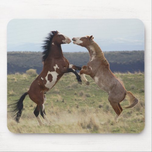 Fighting Stallions Steens Mountains Oregon Mouse Pad