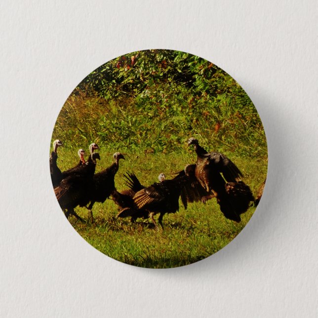 Fighting Wild Turkeys in The Smoky Mountains Button (Front)