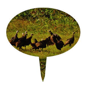Fighting Wild Turkeys in The Smoky Mountains Cake Topper