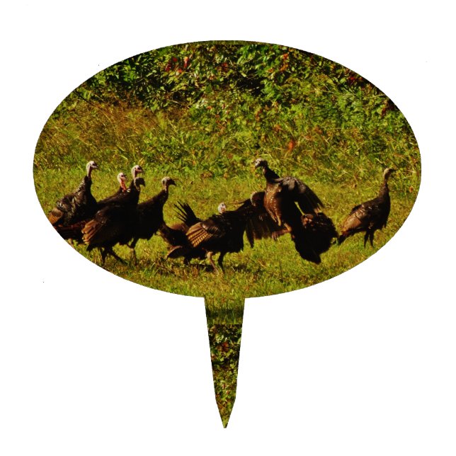 Fighting Wild Turkeys in The Smoky Mountains Cake Topper (Front)