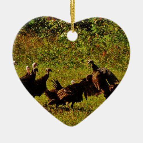 Fighting Wild Turkeys in The Smoky Mountains Ceramic Ornament