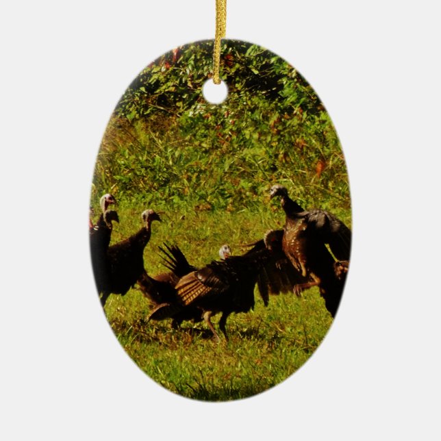 Fighting Wild Turkeys in The Smoky Mountains Ceramic Ornament (Front)