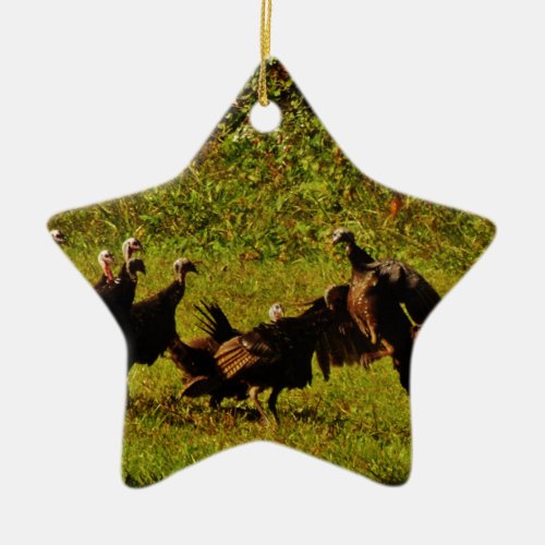 Fighting Wild Turkeys in The Smoky Mountains Ceramic Ornament